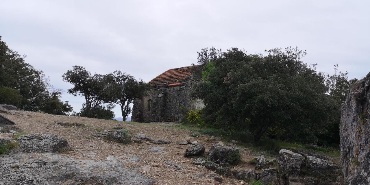 Le Mimosa Bed & Breakfast Saint-Saturnin-de-Lucian Bagian luar foto