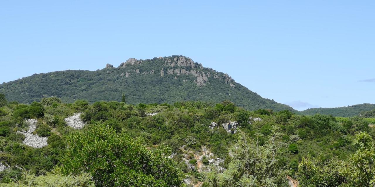 Le Mimosa Bed & Breakfast Saint-Saturnin-de-Lucian Bagian luar foto