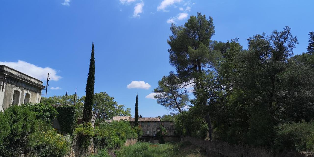 Le Mimosa Bed & Breakfast Saint-Saturnin-de-Lucian Bagian luar foto