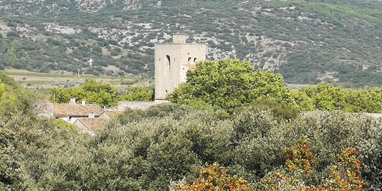 Le Mimosa Bed & Breakfast Saint-Saturnin-de-Lucian Bagian luar foto