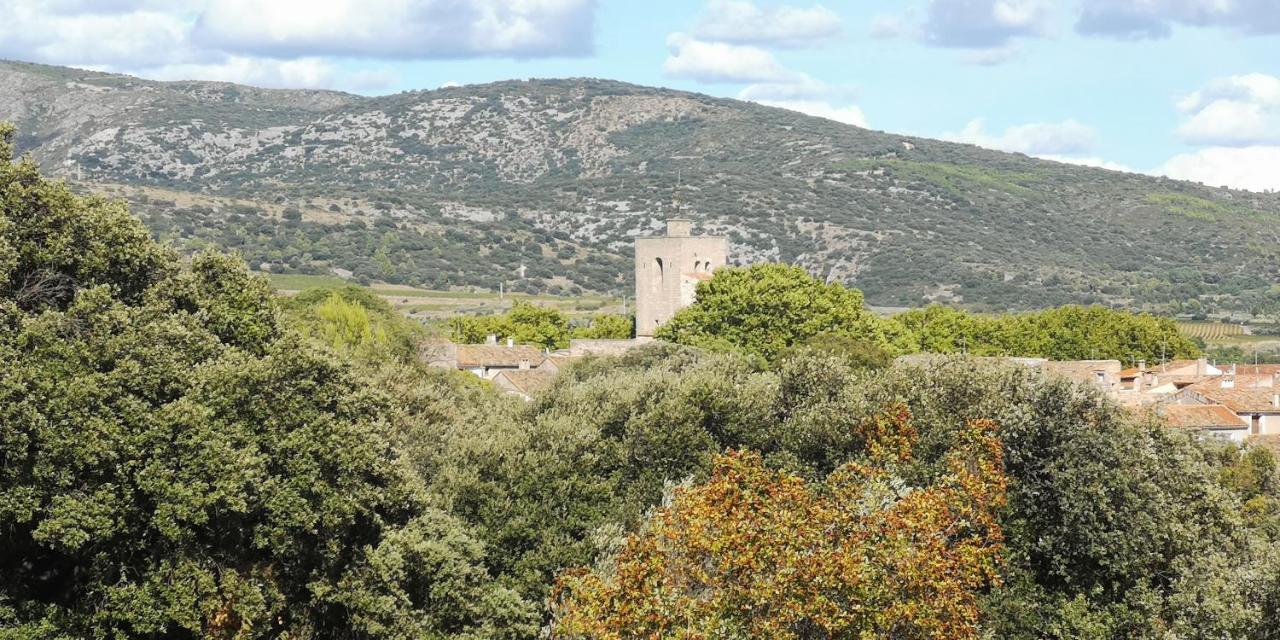 Le Mimosa Bed & Breakfast Saint-Saturnin-de-Lucian Bagian luar foto