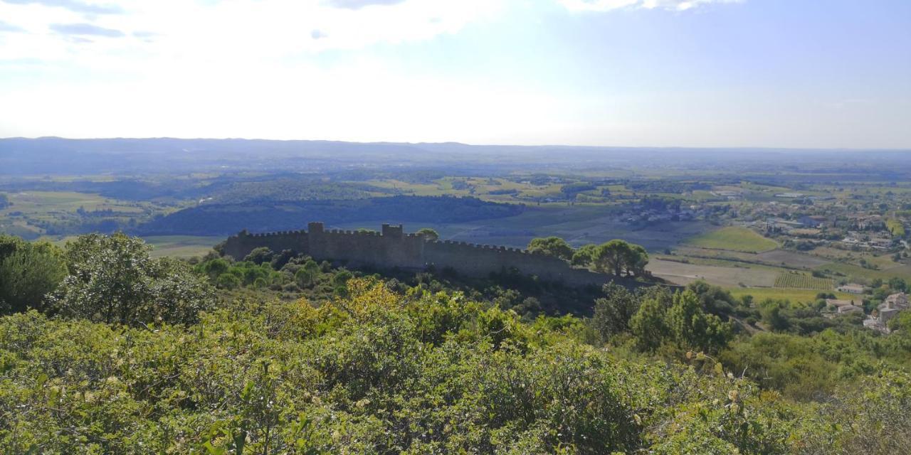 Le Mimosa Bed & Breakfast Saint-Saturnin-de-Lucian Bagian luar foto