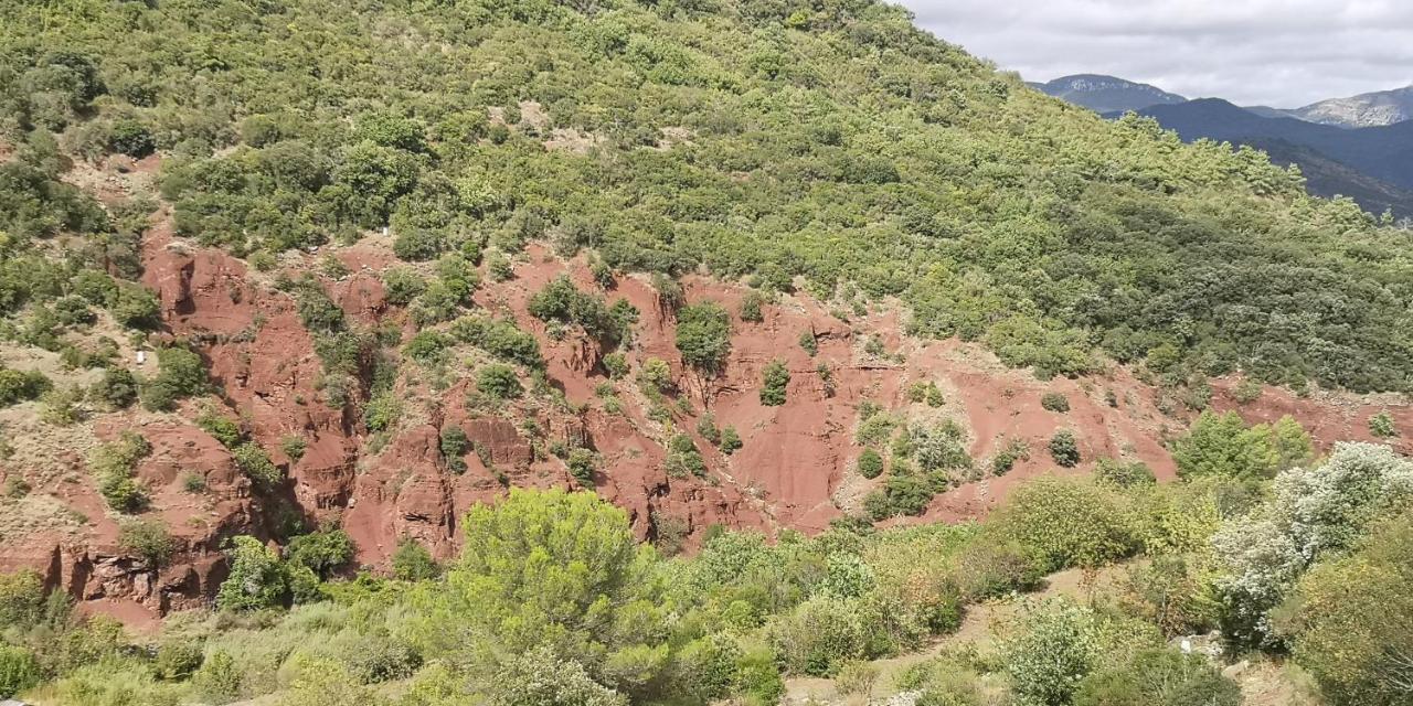 Le Mimosa Bed & Breakfast Saint-Saturnin-de-Lucian Bagian luar foto