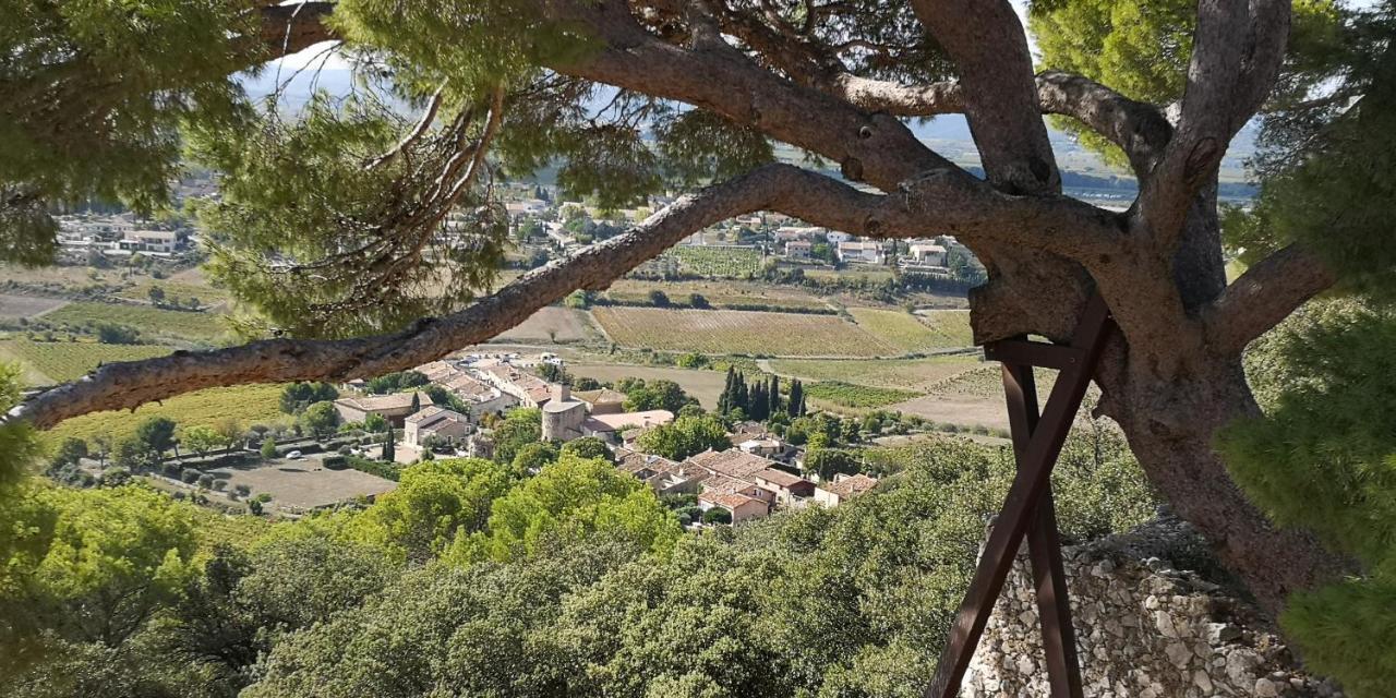 Le Mimosa Bed & Breakfast Saint-Saturnin-de-Lucian Bagian luar foto