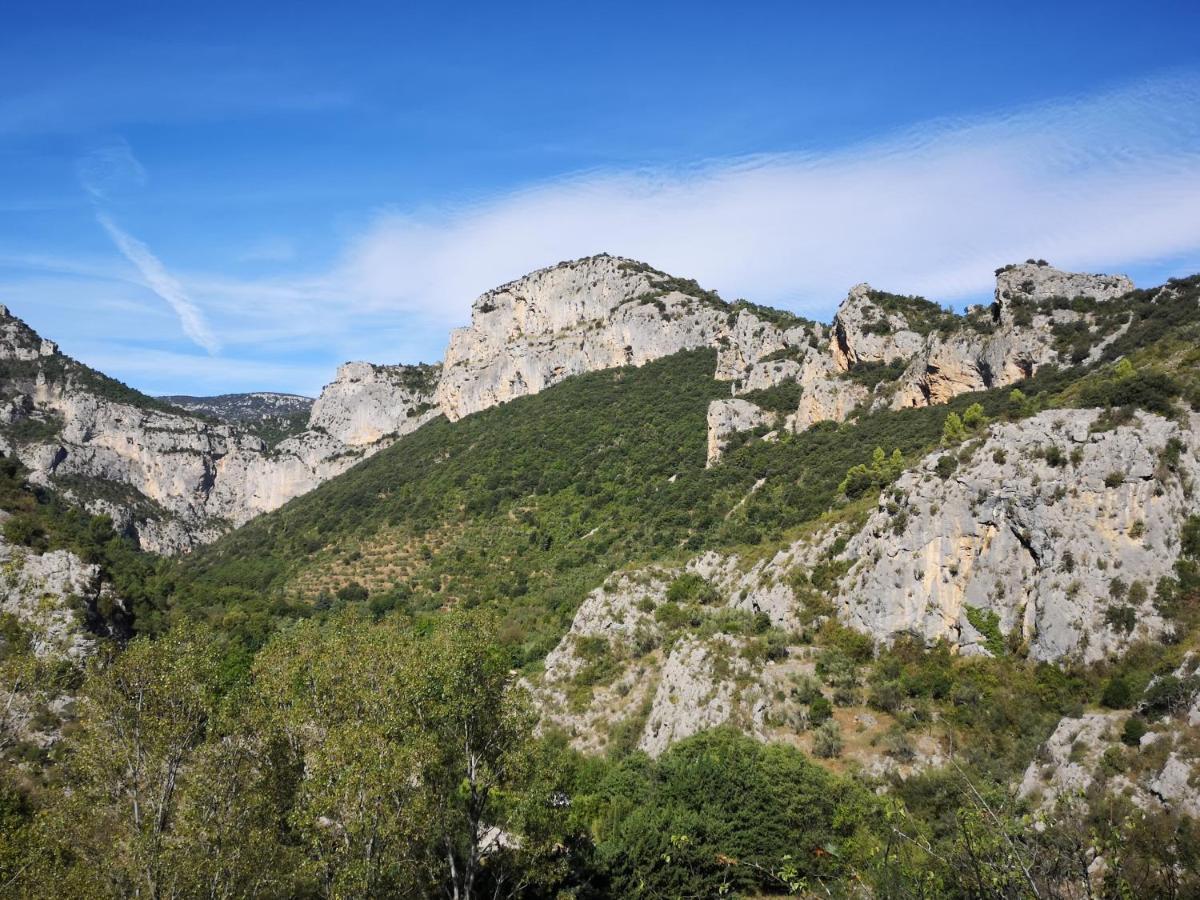 Le Mimosa Bed & Breakfast Saint-Saturnin-de-Lucian Bagian luar foto
