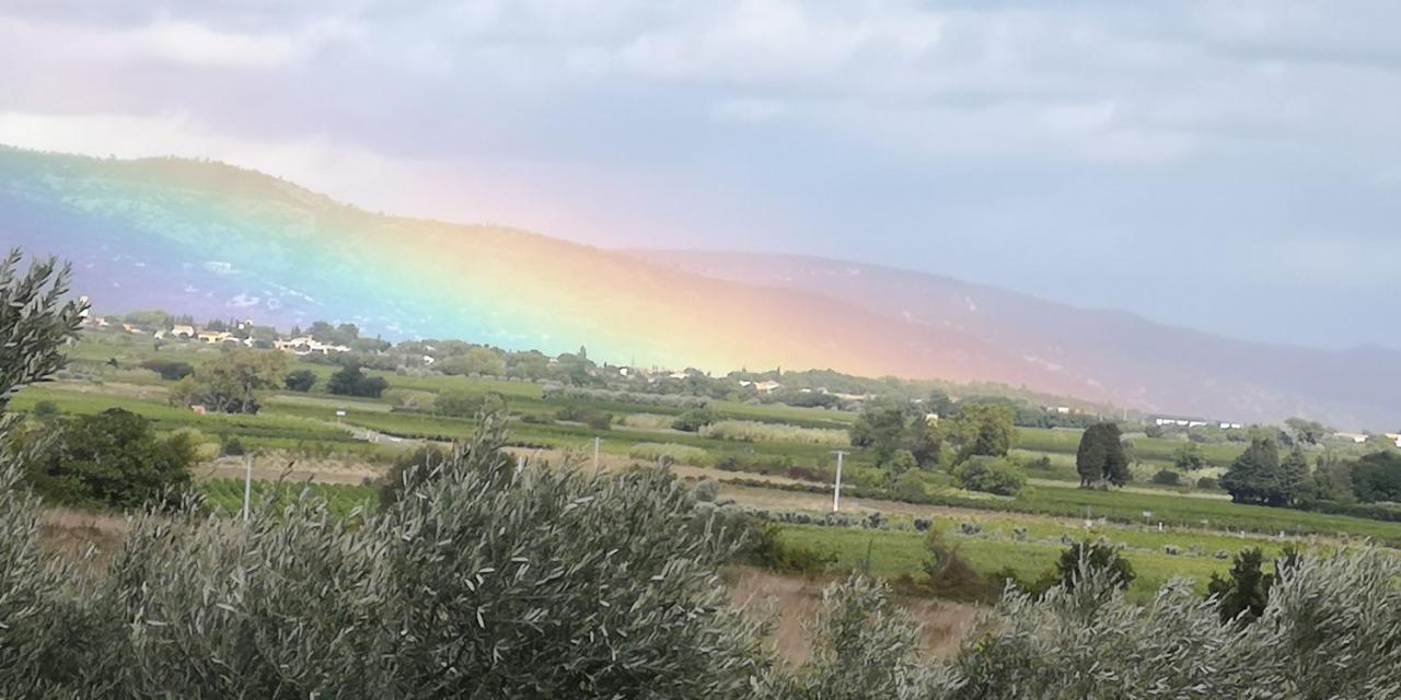 Le Mimosa Bed & Breakfast Saint-Saturnin-de-Lucian Bagian luar foto