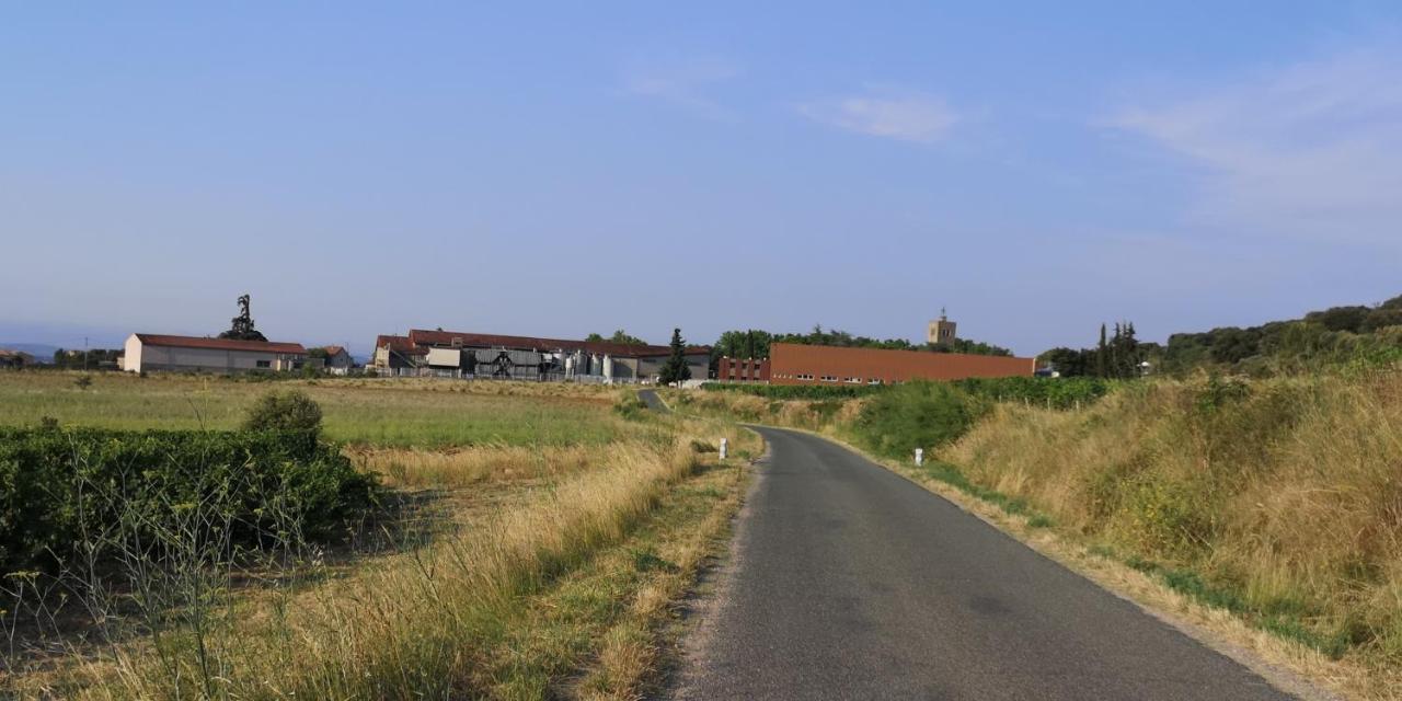 Le Mimosa Bed & Breakfast Saint-Saturnin-de-Lucian Bagian luar foto