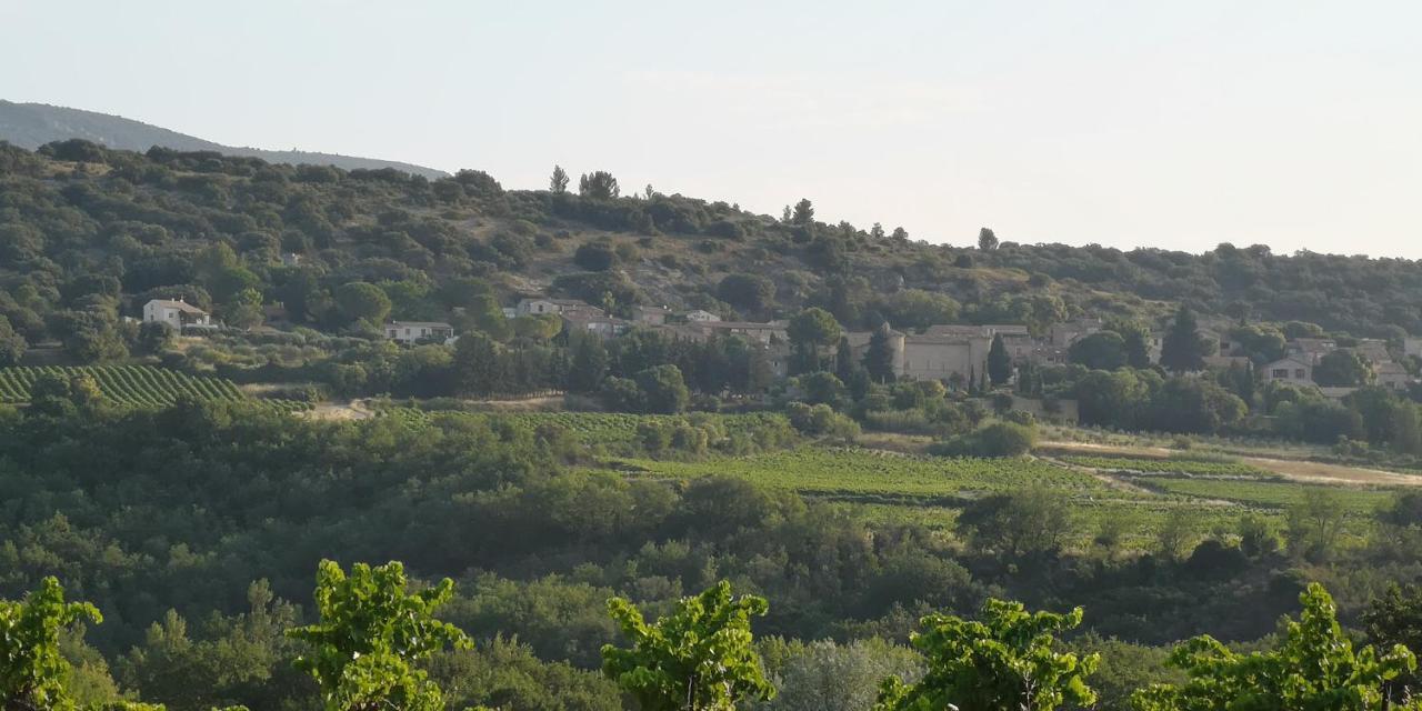 Le Mimosa Bed & Breakfast Saint-Saturnin-de-Lucian Bagian luar foto