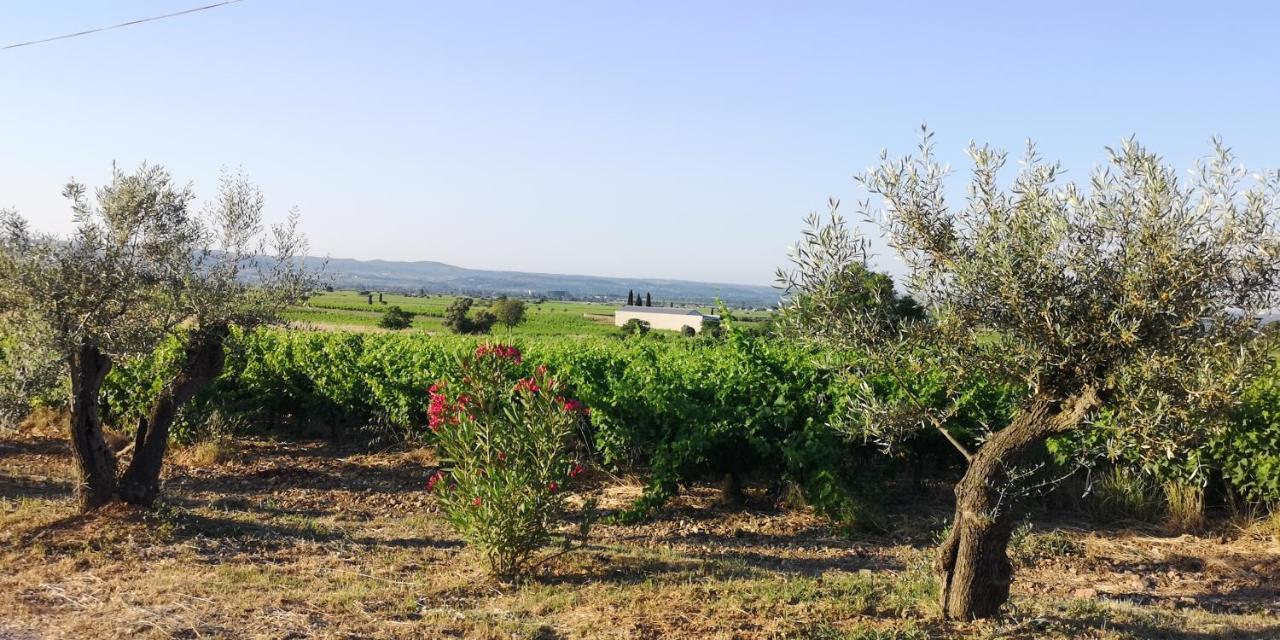 Le Mimosa Bed & Breakfast Saint-Saturnin-de-Lucian Bagian luar foto