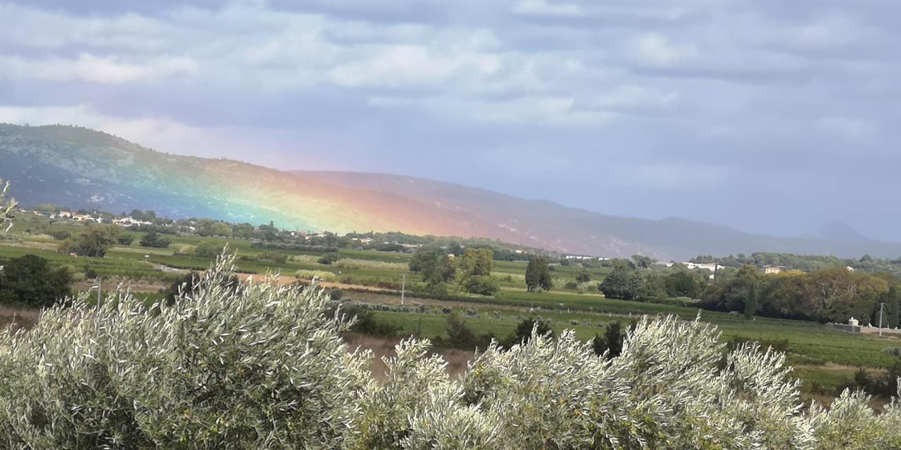 Le Mimosa Bed & Breakfast Saint-Saturnin-de-Lucian Bagian luar foto