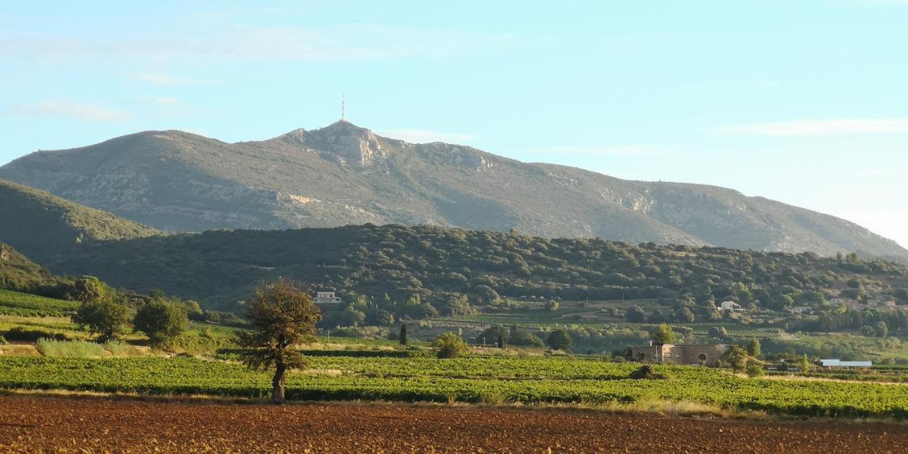 Le Mimosa Bed & Breakfast Saint-Saturnin-de-Lucian Bagian luar foto
