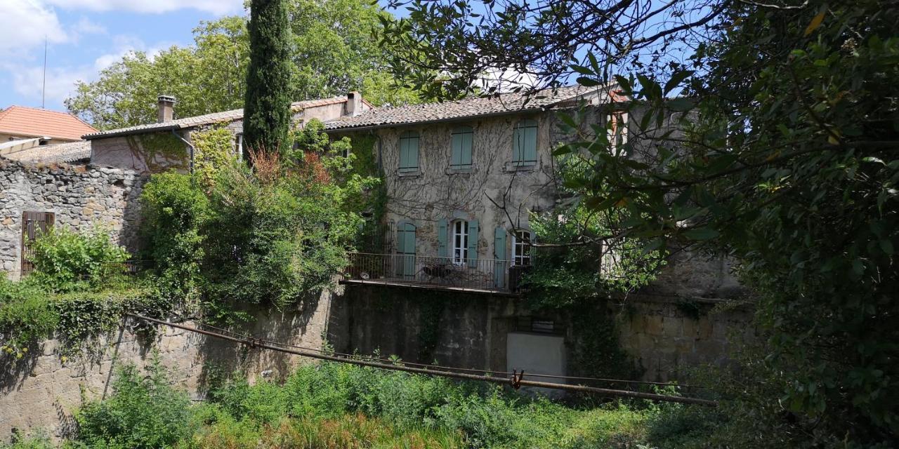 Le Mimosa Bed & Breakfast Saint-Saturnin-de-Lucian Bagian luar foto