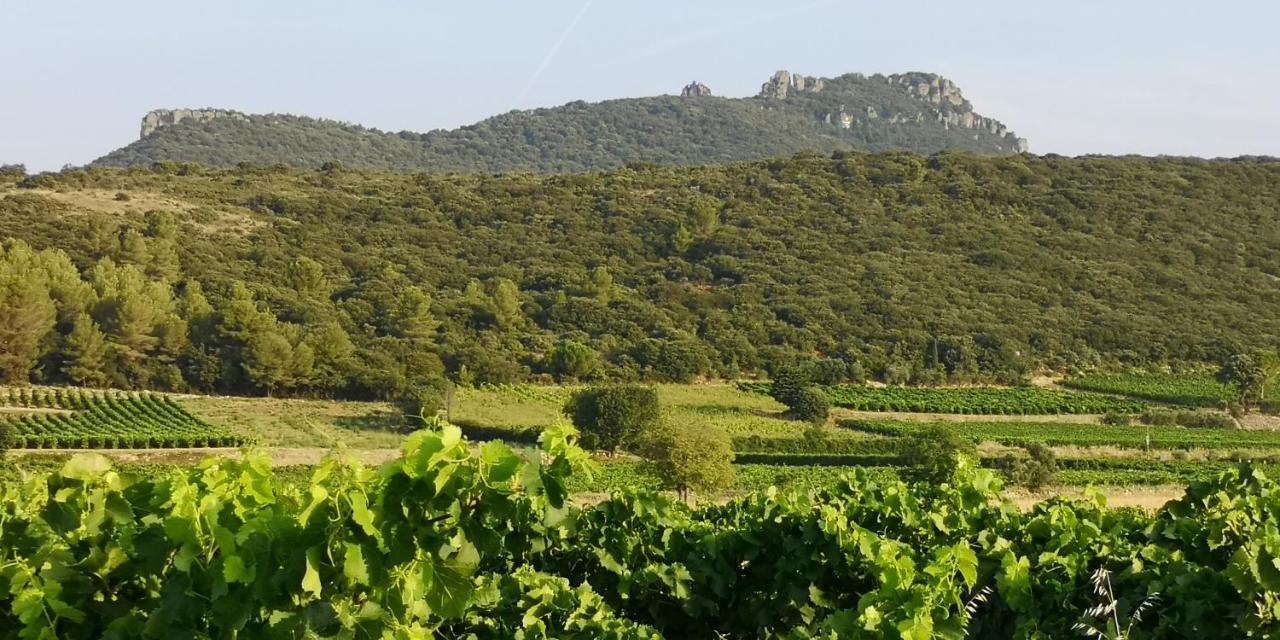 Le Mimosa Bed & Breakfast Saint-Saturnin-de-Lucian Bagian luar foto