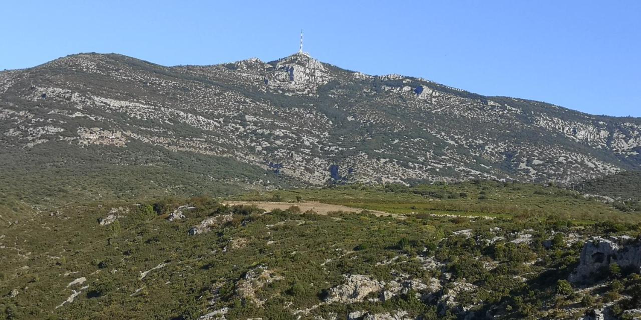Le Mimosa Bed & Breakfast Saint-Saturnin-de-Lucian Bagian luar foto