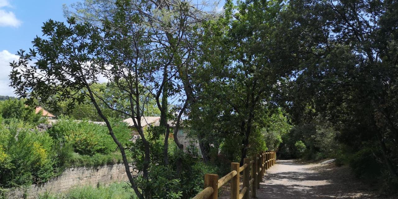 Le Mimosa Bed & Breakfast Saint-Saturnin-de-Lucian Bagian luar foto