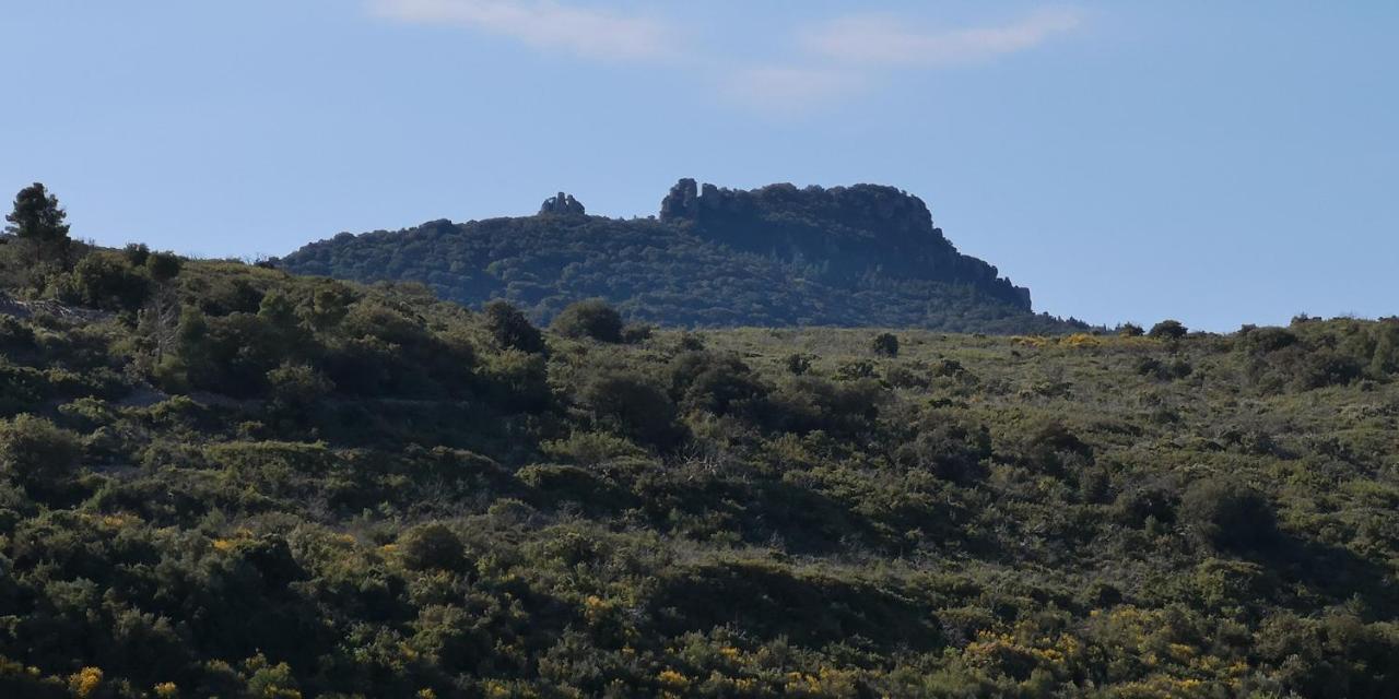 Le Mimosa Bed & Breakfast Saint-Saturnin-de-Lucian Bagian luar foto