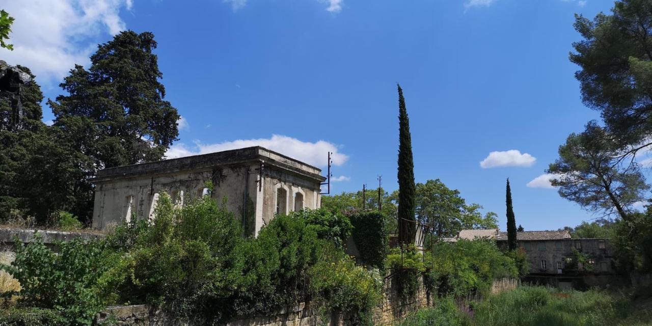 Le Mimosa Bed & Breakfast Saint-Saturnin-de-Lucian Bagian luar foto