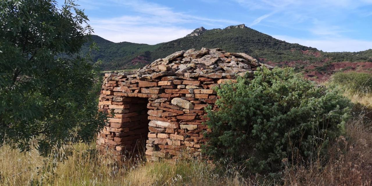 Le Mimosa Bed & Breakfast Saint-Saturnin-de-Lucian Bagian luar foto