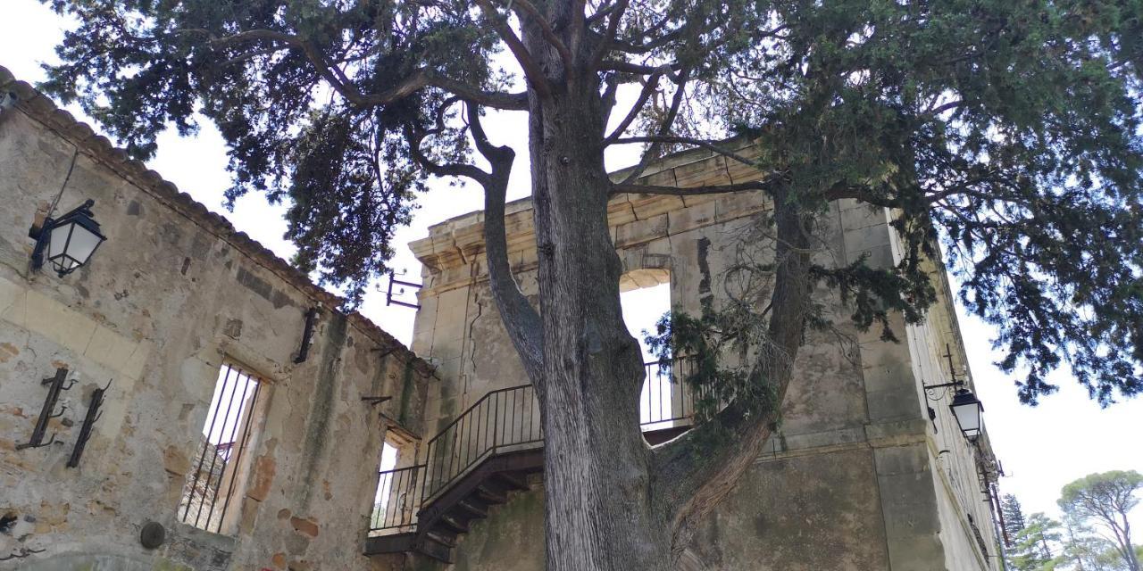 Le Mimosa Bed & Breakfast Saint-Saturnin-de-Lucian Bagian luar foto