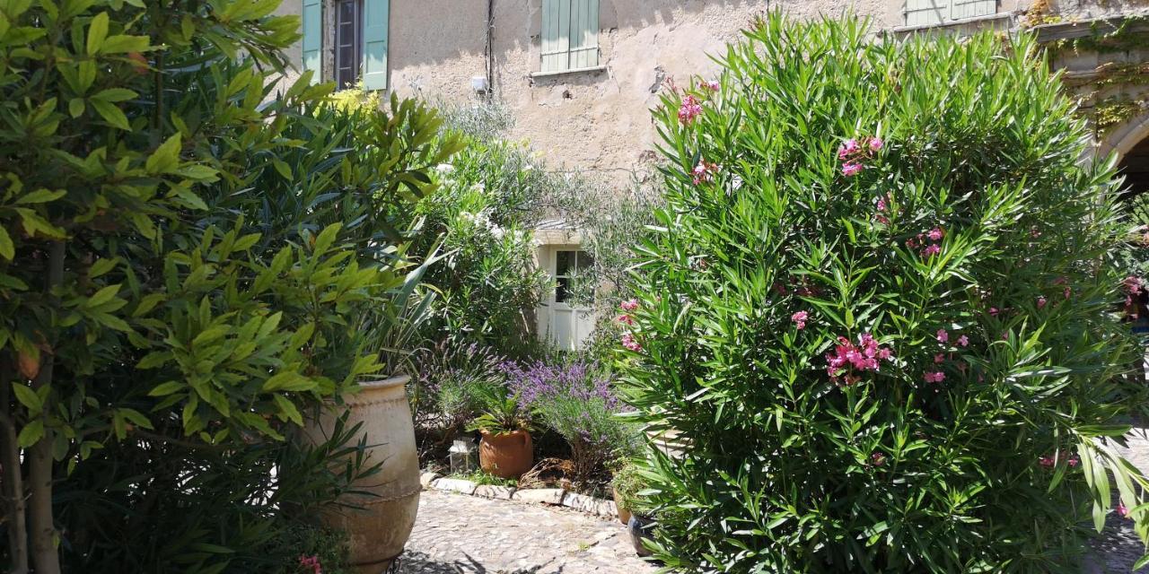 Le Mimosa Bed & Breakfast Saint-Saturnin-de-Lucian Bagian luar foto